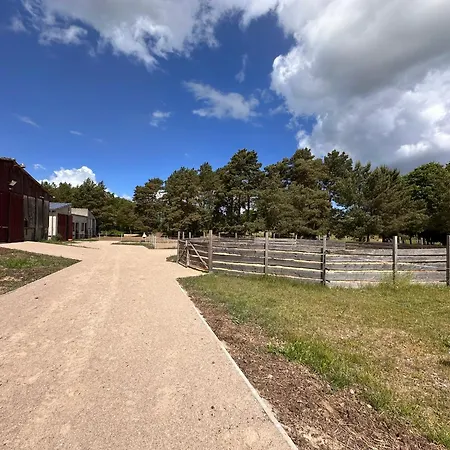 Kwatera prywatna Eickhof Guenter Eickhof Ferienzimmer - Guenter