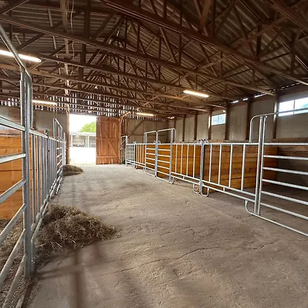 Eickhof Guenter Eickhof Ferienzimmer - Guenter *